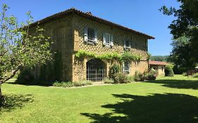 Les Tournesols